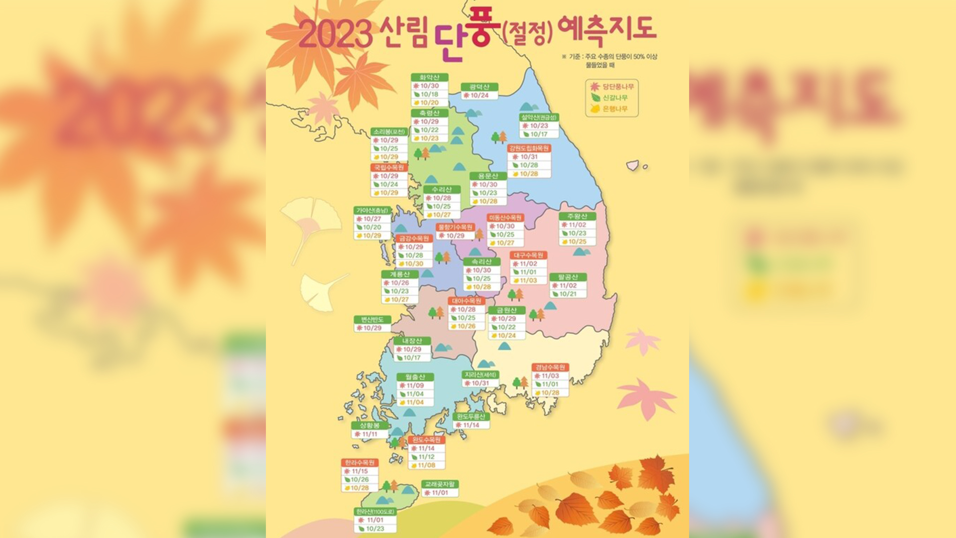 설악산서 올해 첫 단풍 관측.. 