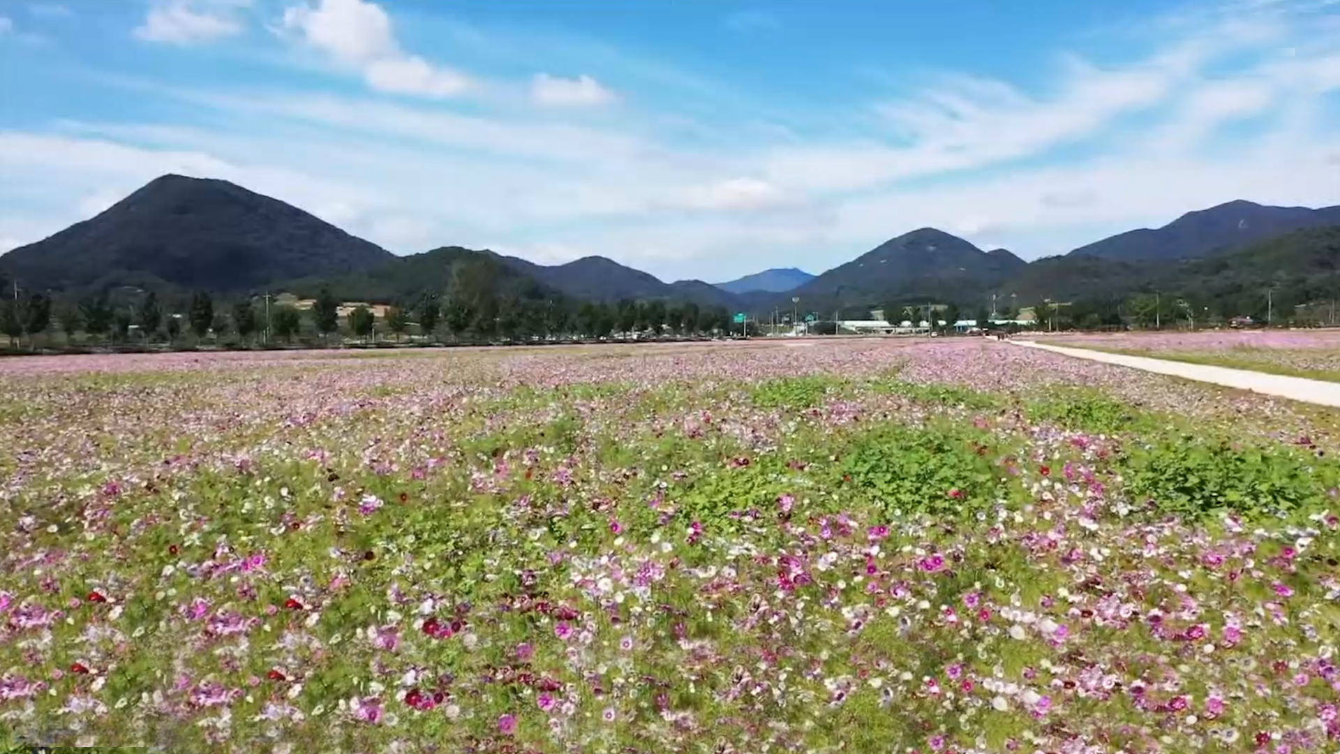 [글로컬 전북] 지역 소식 (임실·무주·고창·익산)