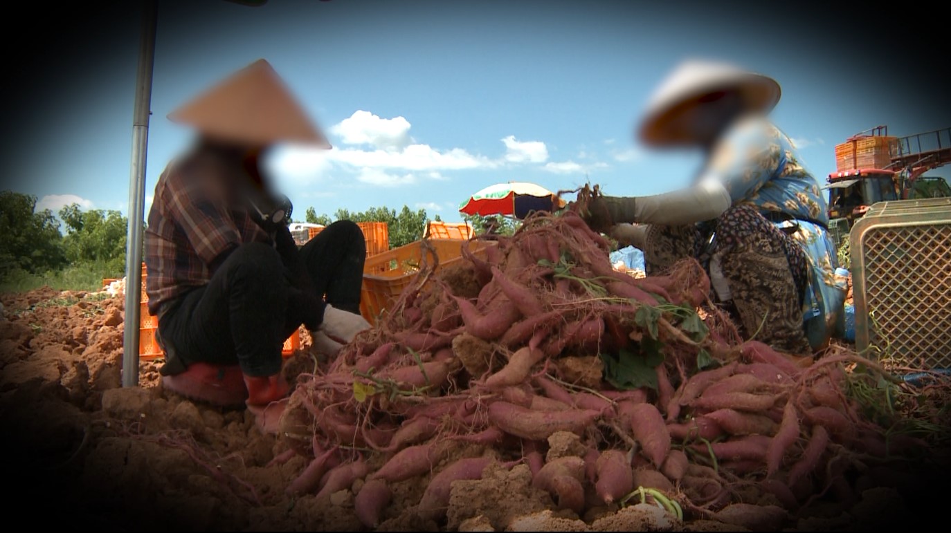 전북, 외국인 계절근로자 최근 5년간 350명 이탈