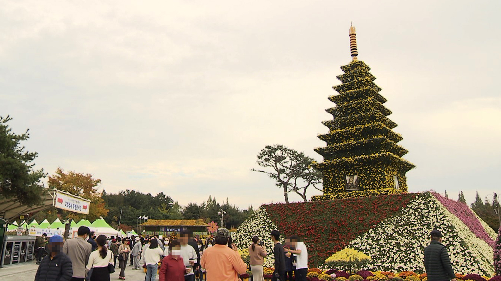 '익산 천만송이국화축제' 개막