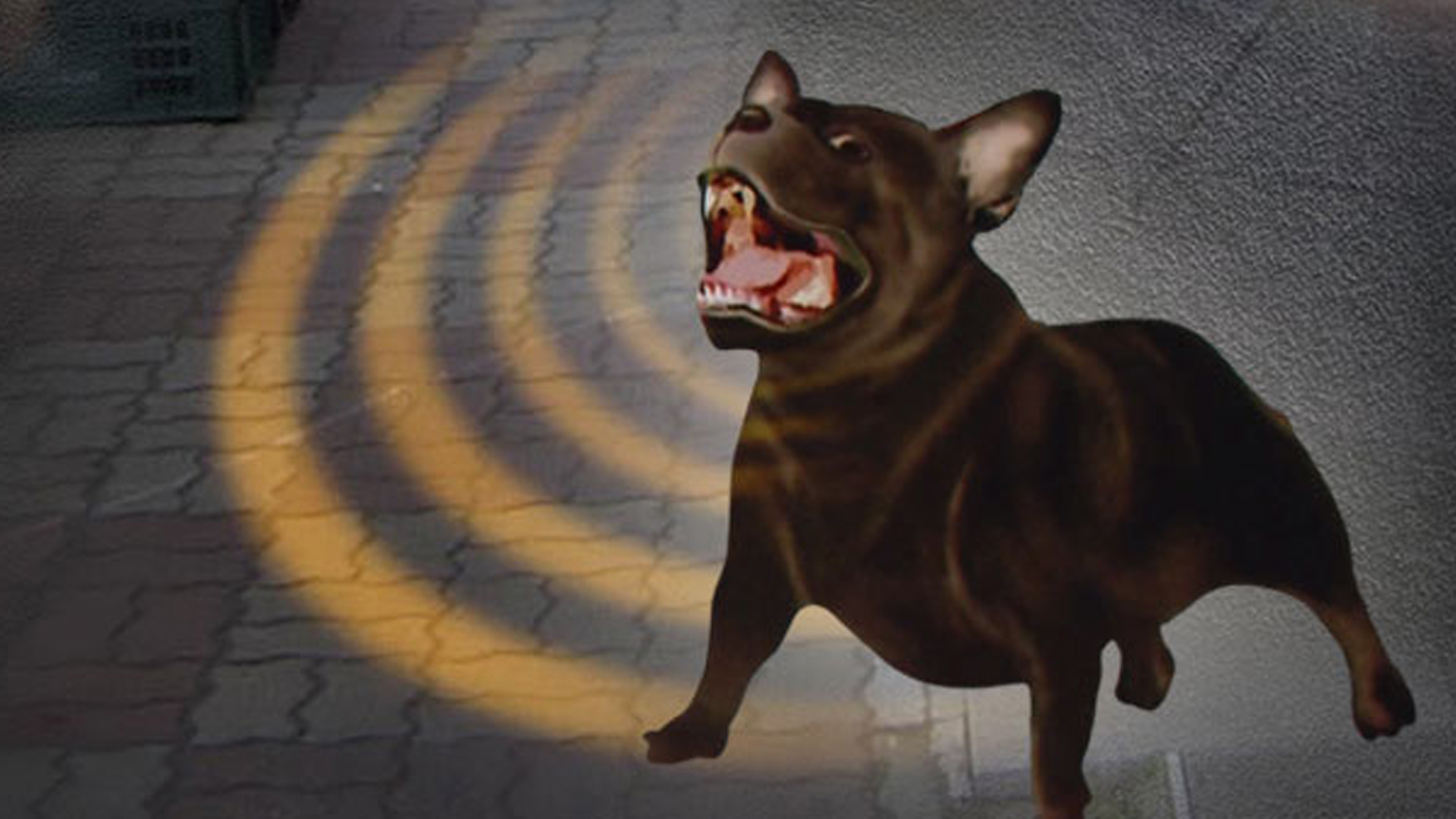 달려드는 강아지 막다 상해 입힌 행인.. 