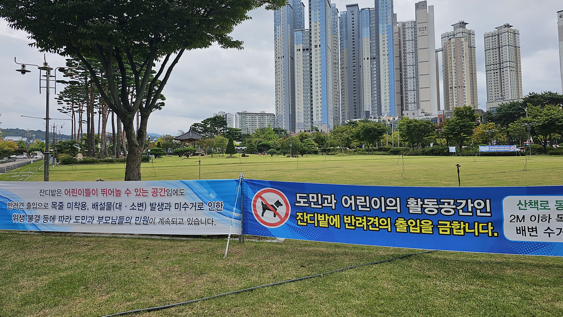 잔디광장에 반려견 출입금지!.. 전북도청 조치에 찬·반 논란