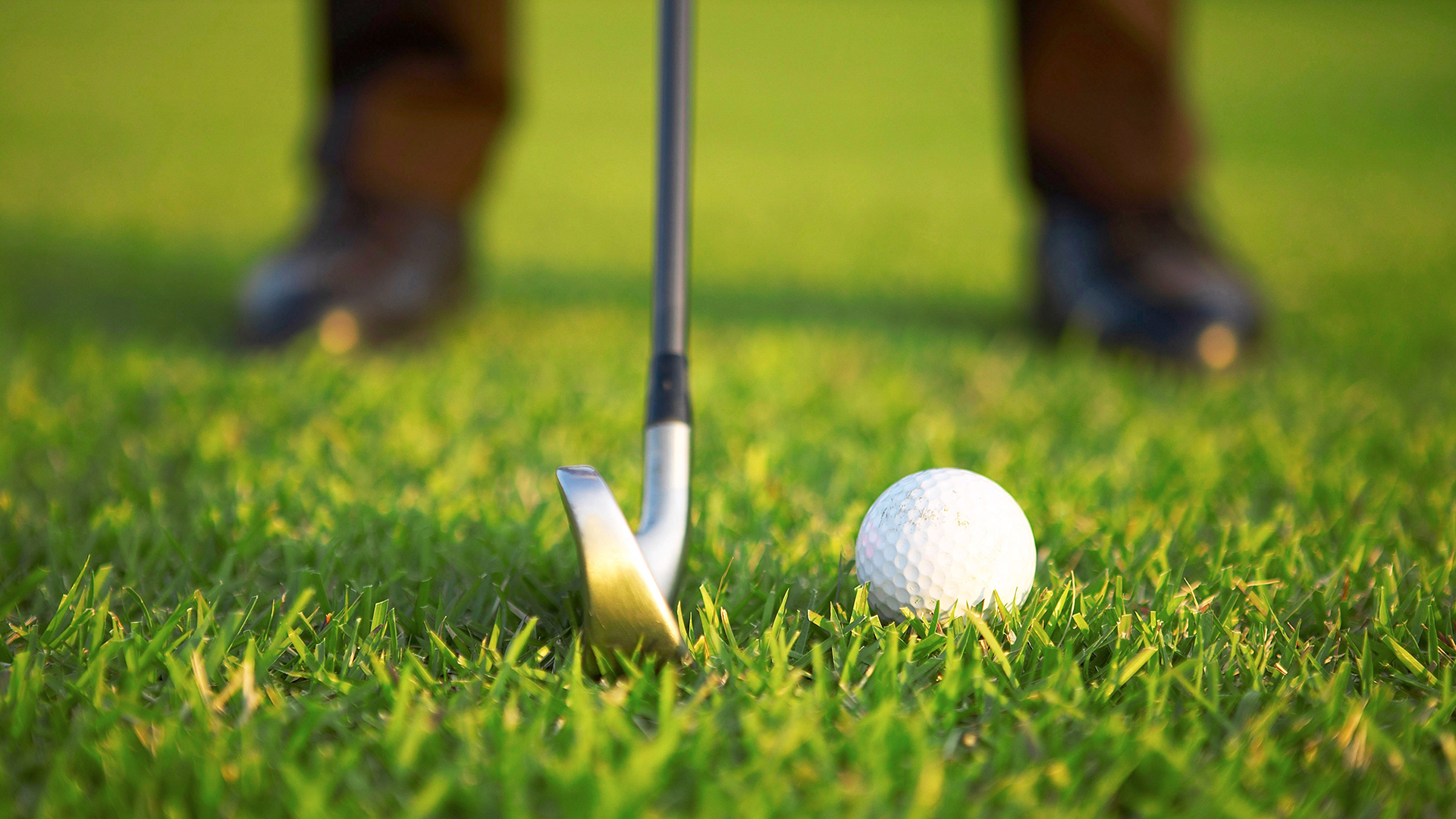 '골프장들 갑질 심해요