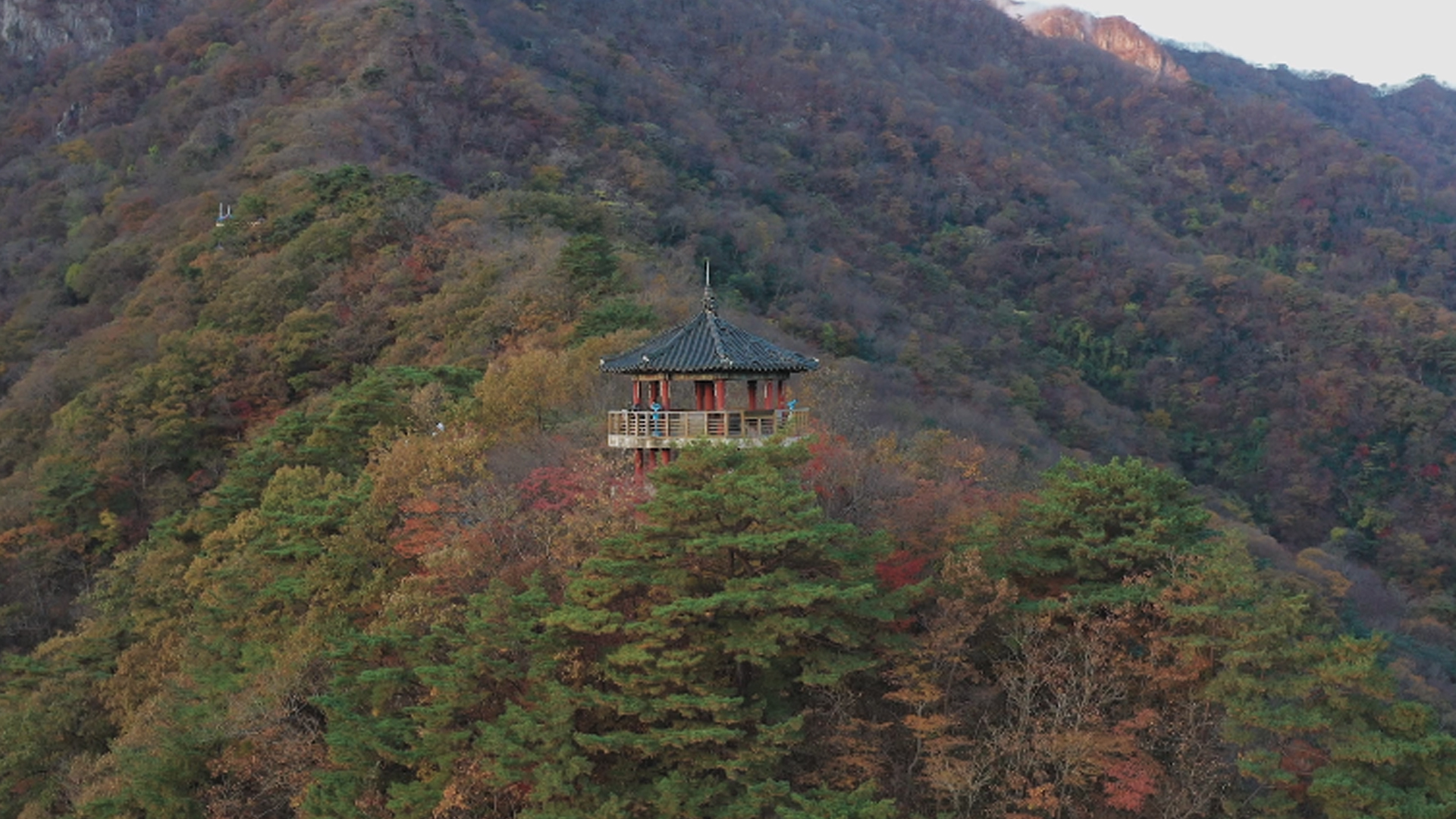 '울긋 불긋' 내장산 단풍 이번 주말 절정
