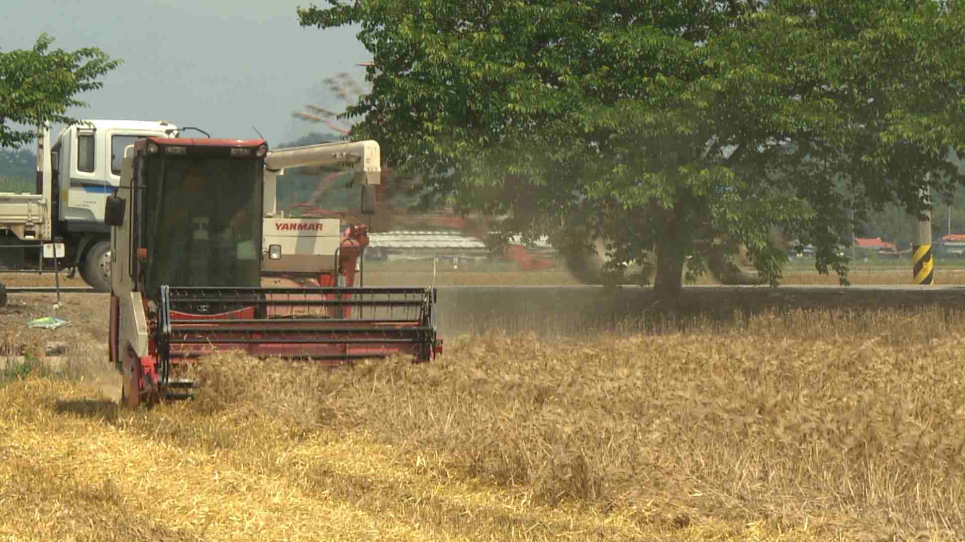 전북자치도 농업인 직불금 5,994억 원 지원.. 작년보다 510억↑