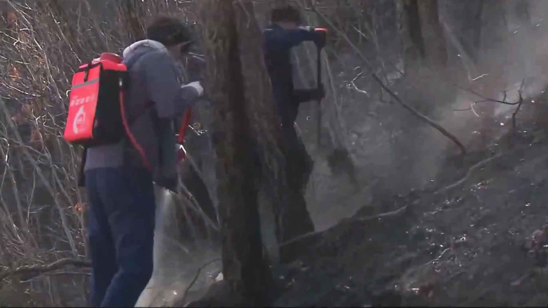 '지리산·내장산·덕유산·변산반도' 산불 예방 위해 탐방로 통제
