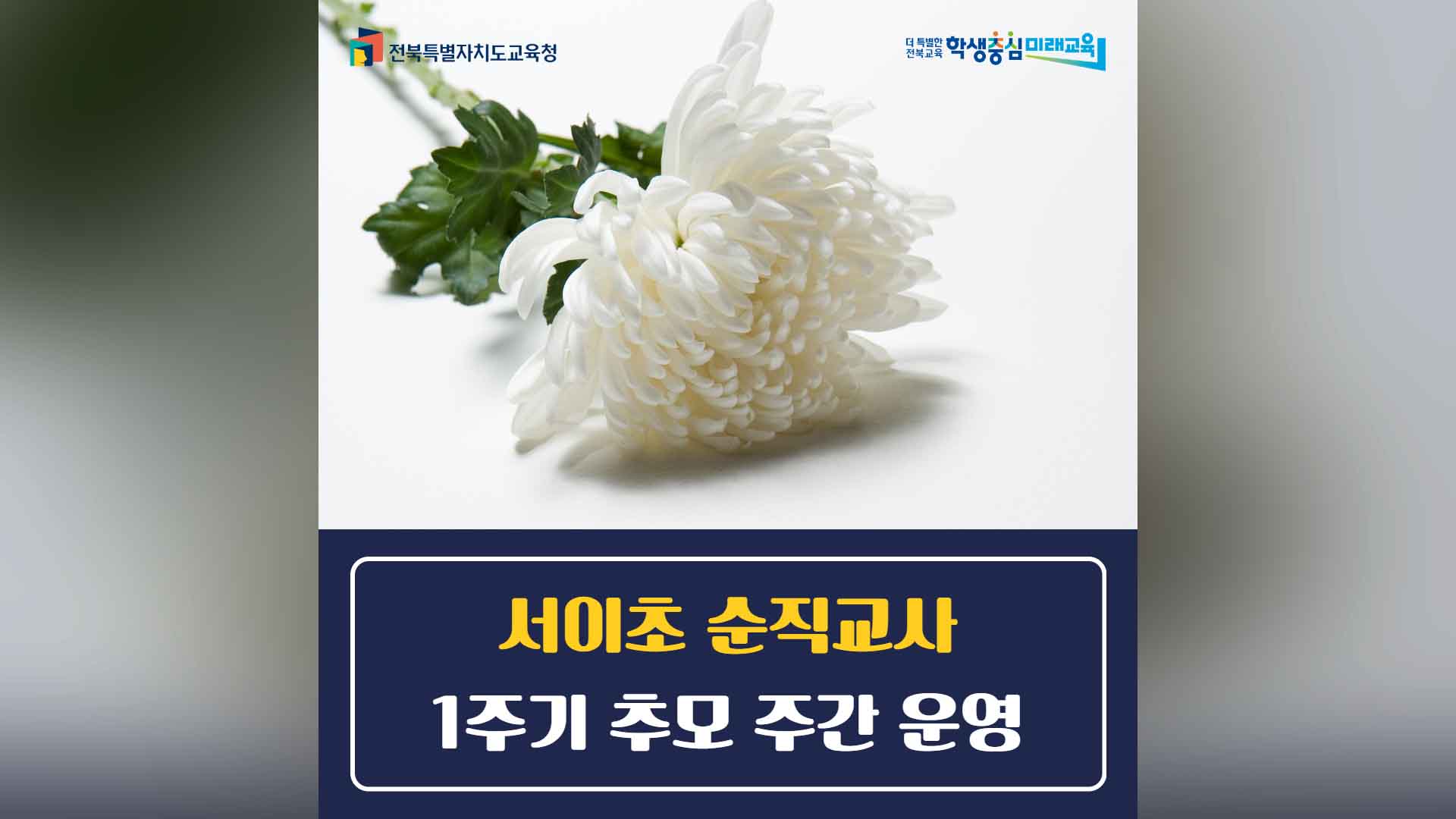 서이초 순직교사 1주기 추모 주간 운영