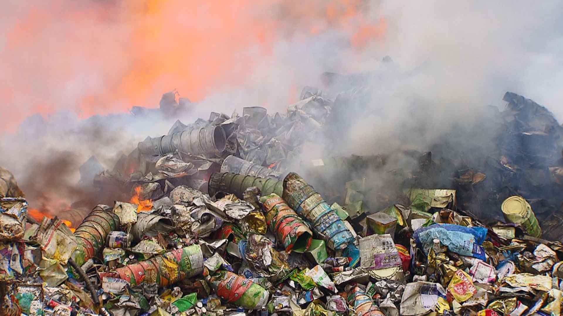 윤수봉 도의원, 