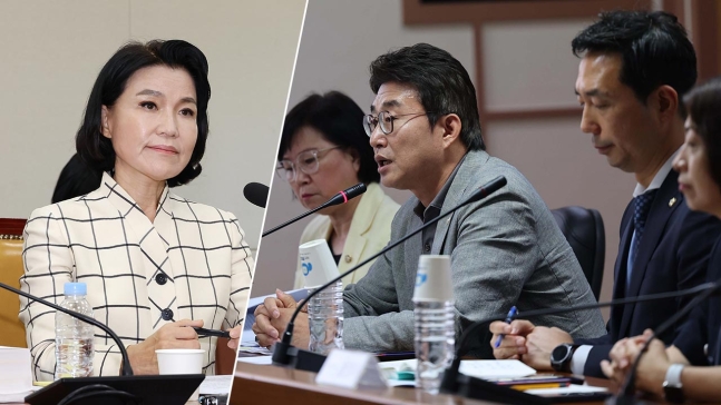 '법인카드 사적 유용 의혹·무단결근 정황' 민주당, 