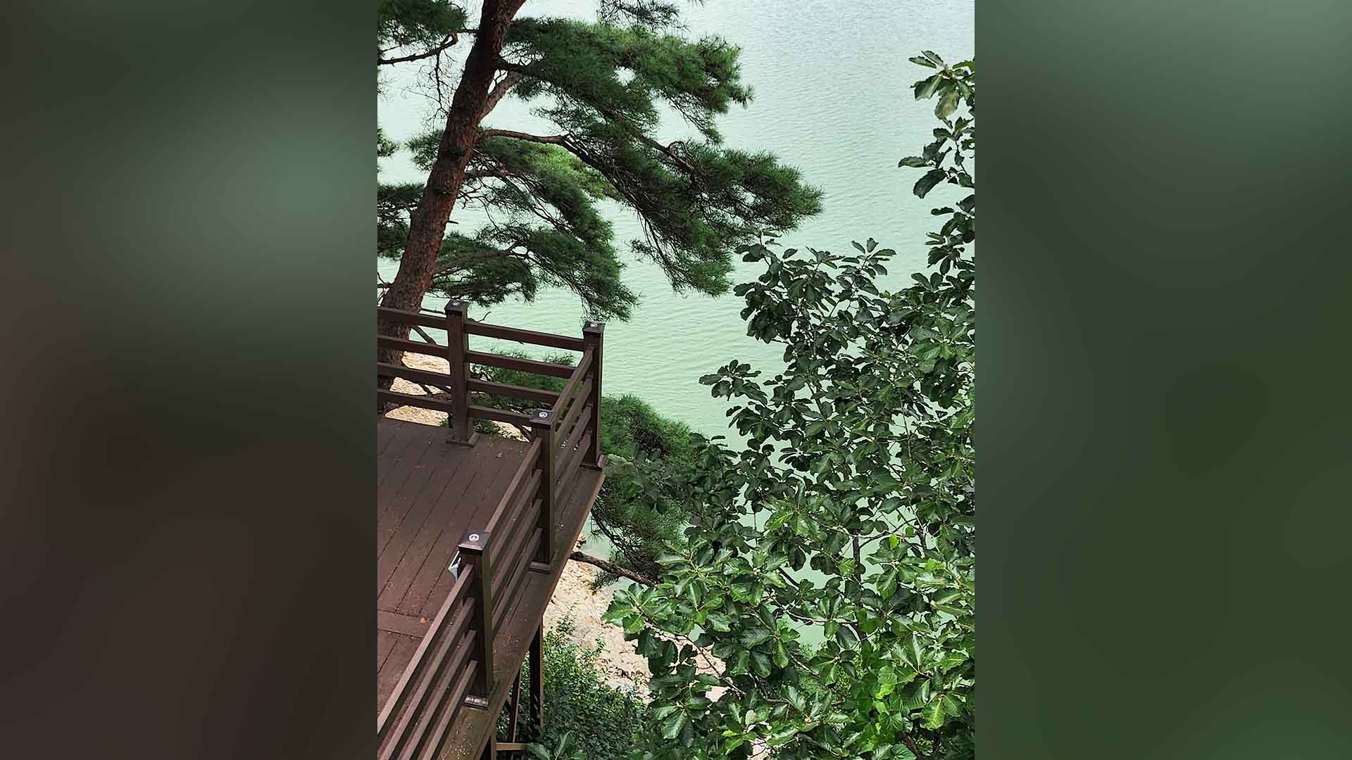 [현장 가봤더니] 