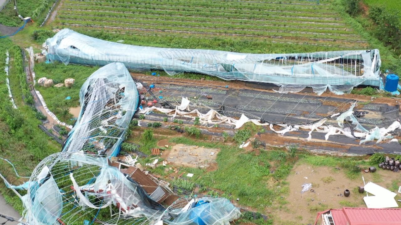 벼·배추 등 15종 '농민수입안정보험' 내년 도입