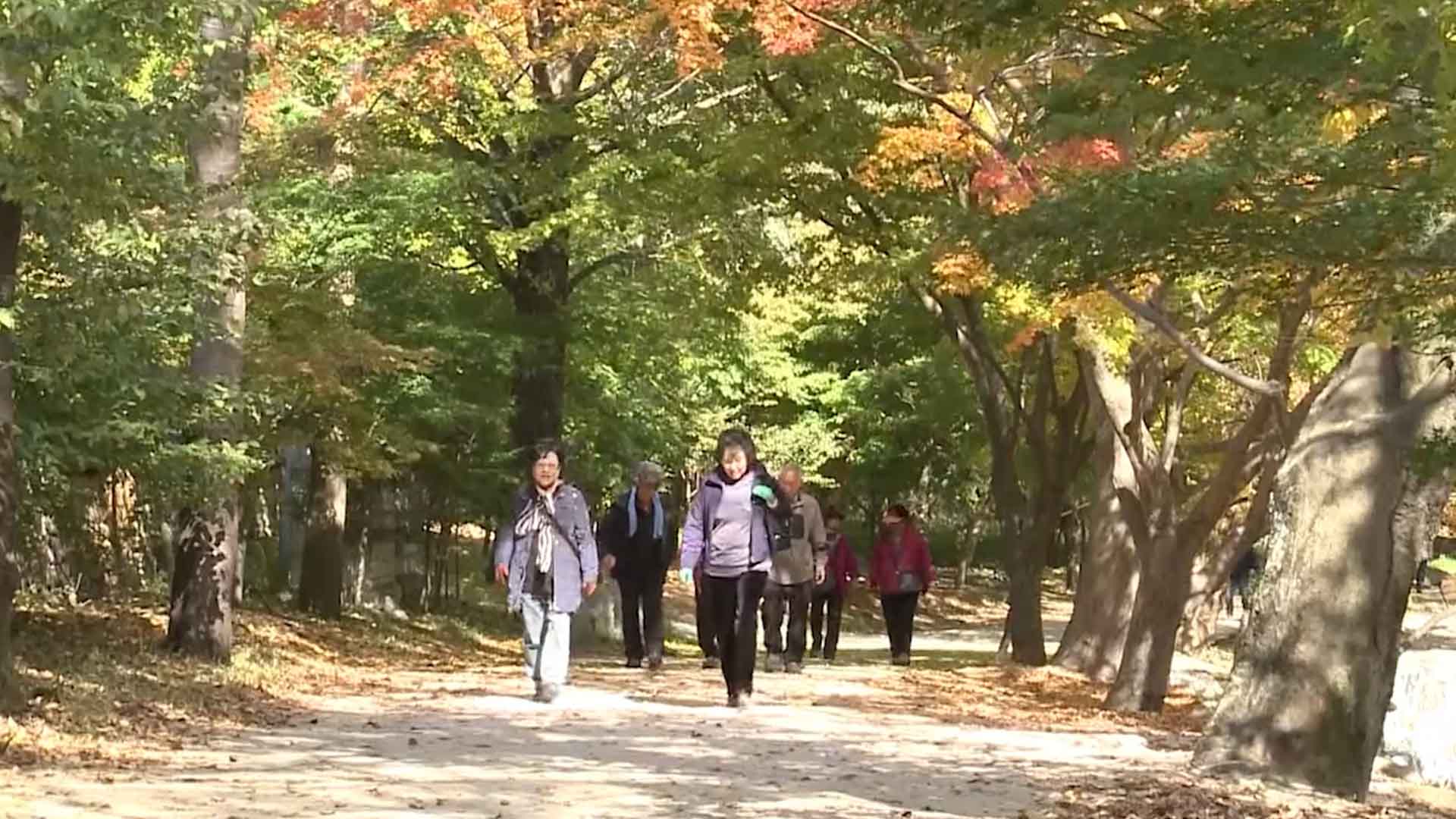 [글로컬 전북] 지역 소식 (임실·완주·정읍·순창)