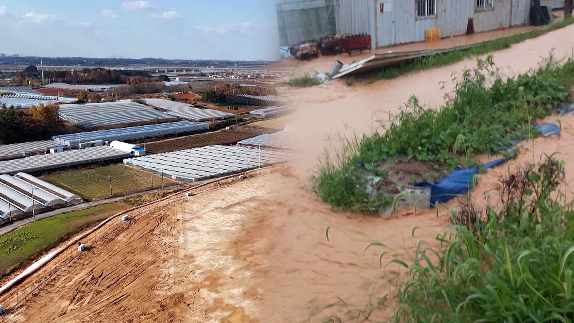 피해 예견 못했다더니 