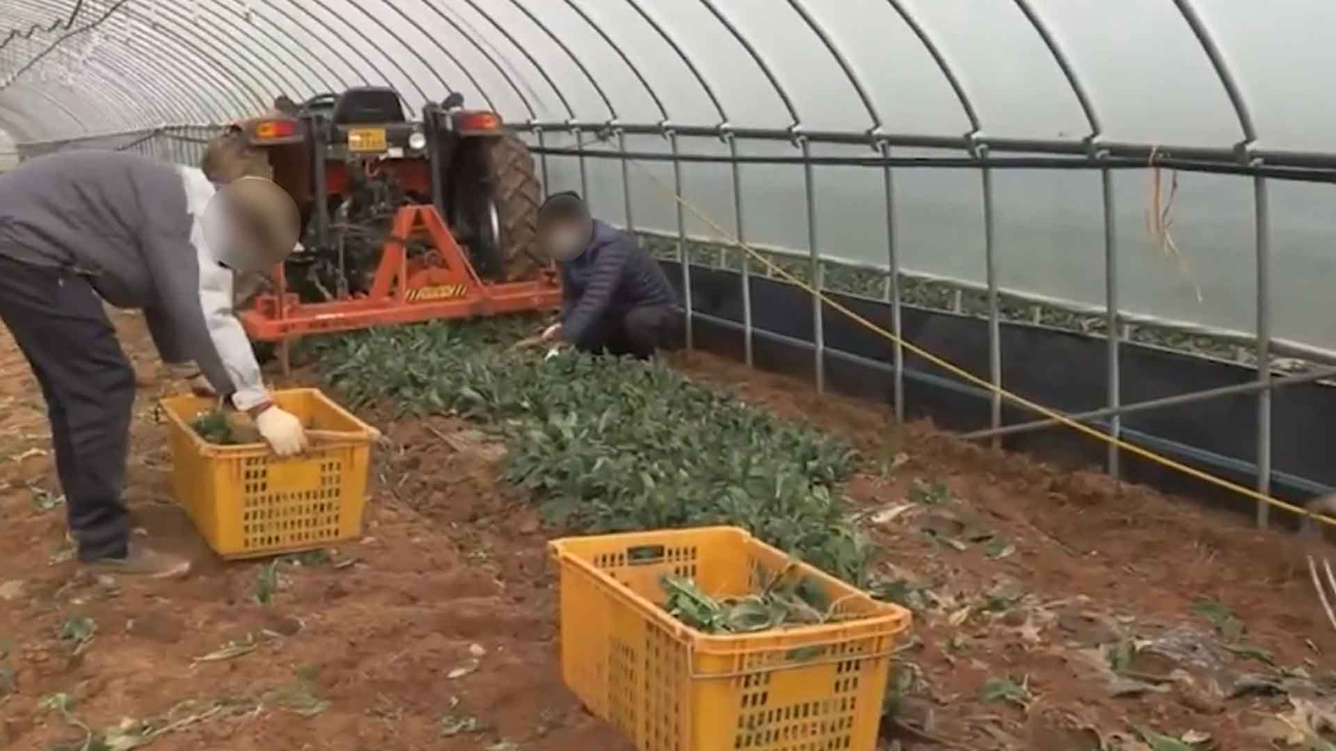 고용허가제 외국인근로자(E-9) 신규 고용 사용 신청