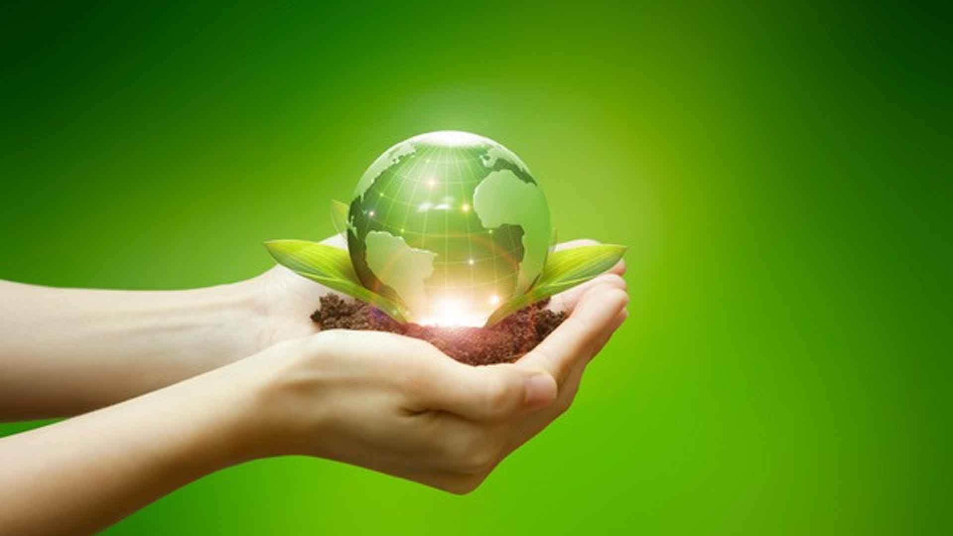 전주시, 탄소중립포인트제 참여 시민 인센티브 지급