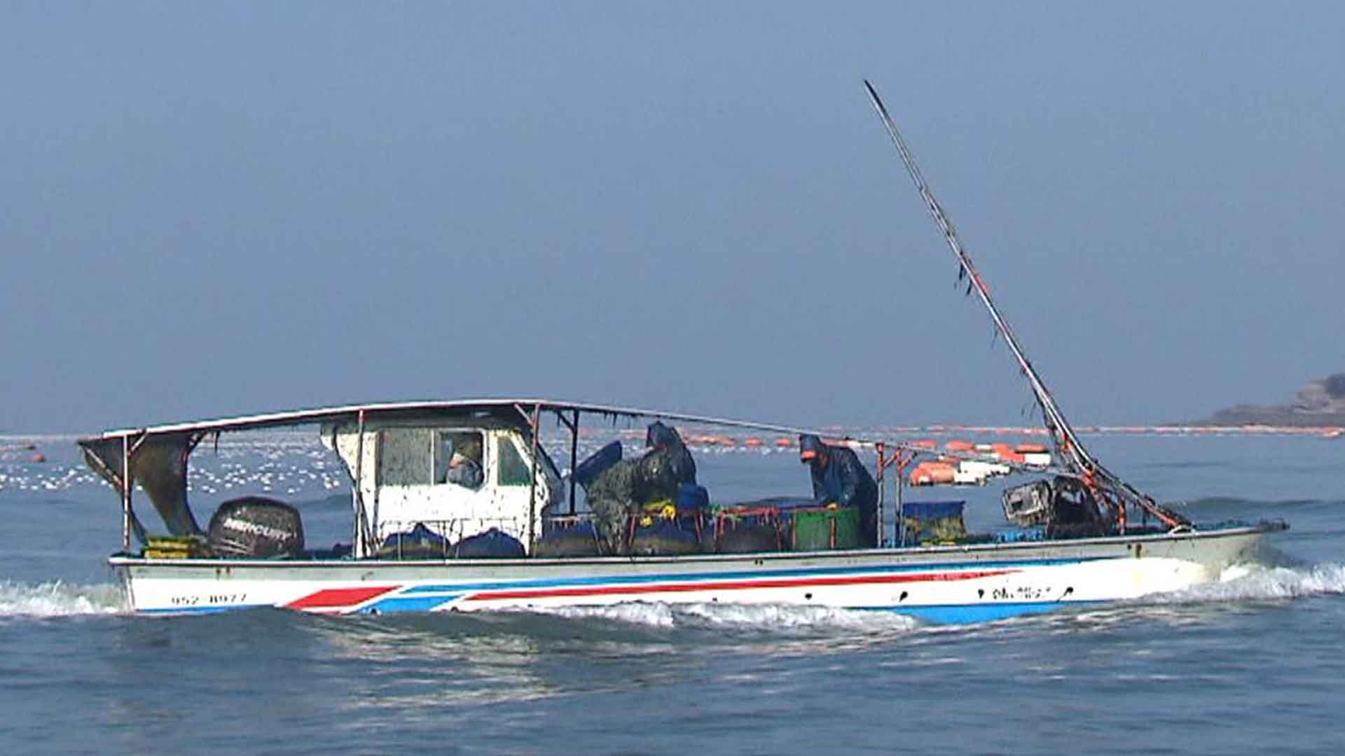 '김 육상 양식' 심포지엄 열려.. 