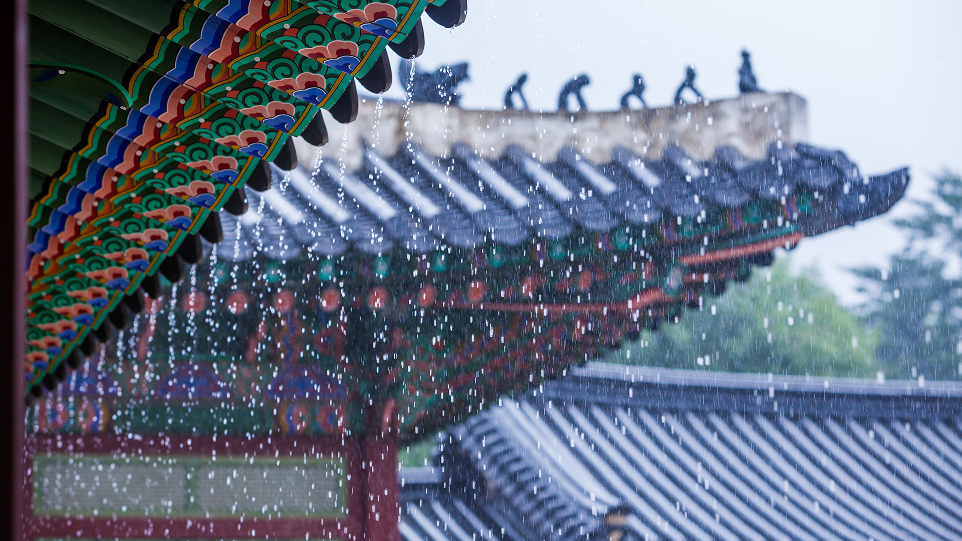 내일까지 5mm 비나 1cm 눈.. 모레 아침 영하권