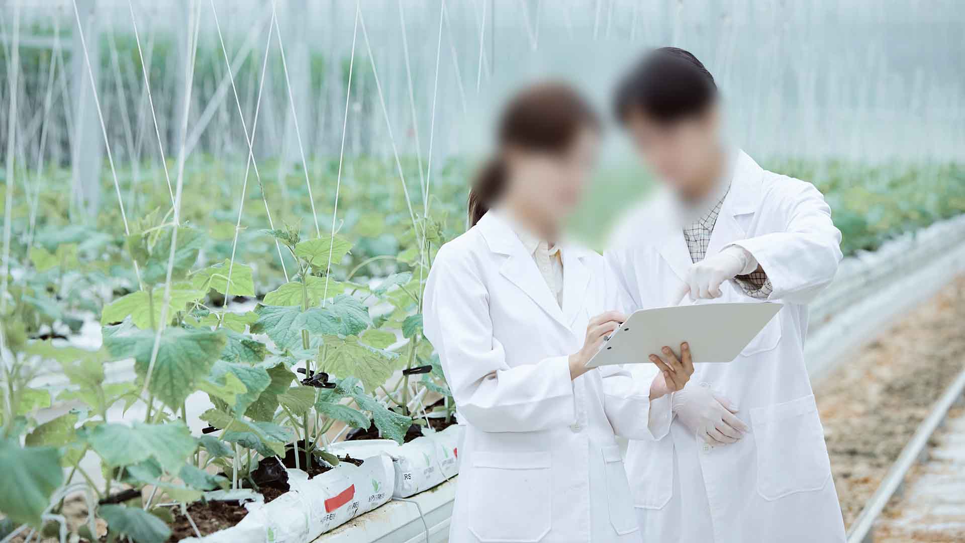 군산, 농업기술보급 시범사업 실시