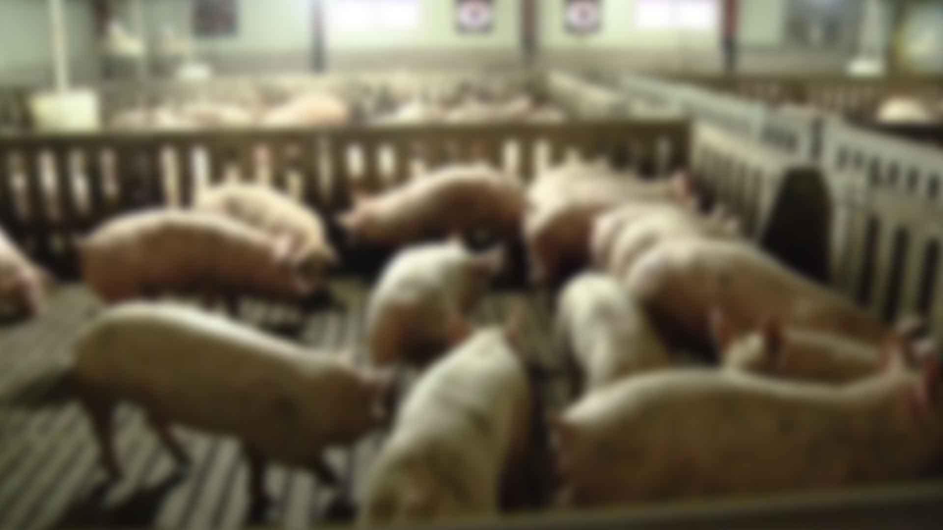 전주·완주 혁신도시 악취 모니터링단 운영