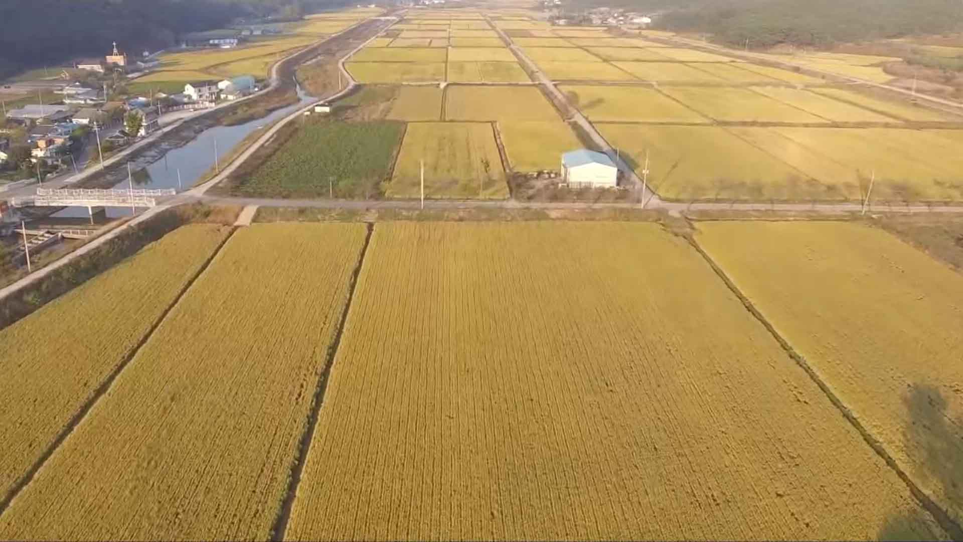 전북 경지면적 18만8,389ha.. 전년 대비 759ha, 0.4% 감소