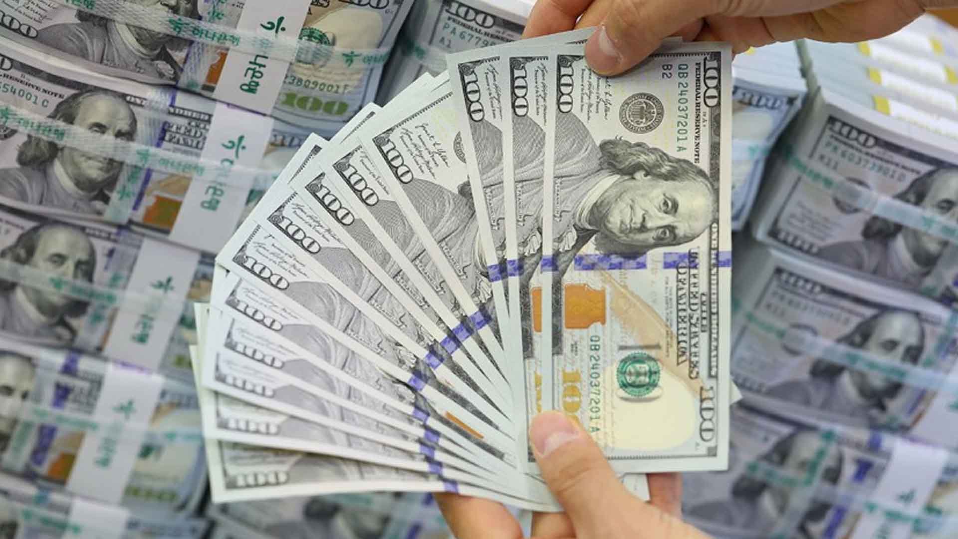 환율 급등에 중소기업 피해 눈덩이.. 