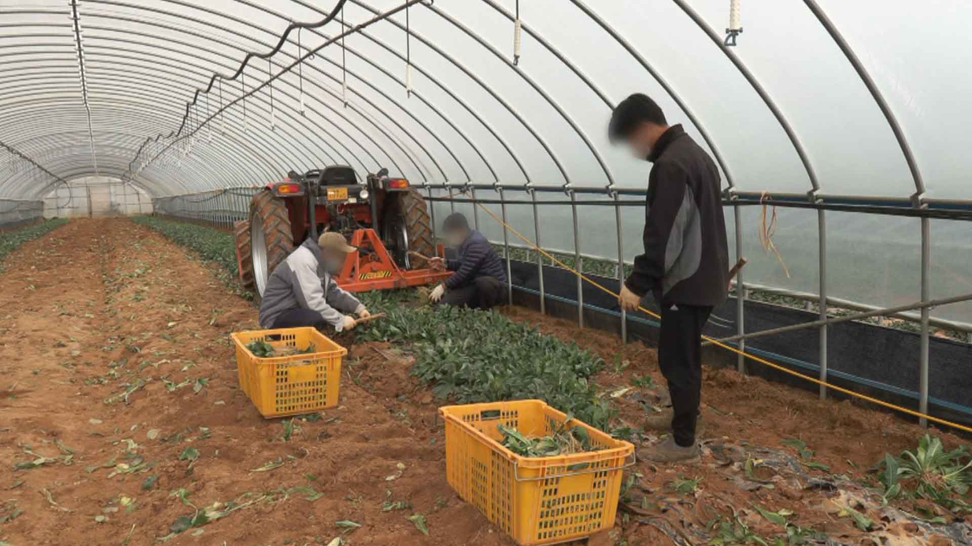 익산시, 베트남 계절근로자 2배 배치