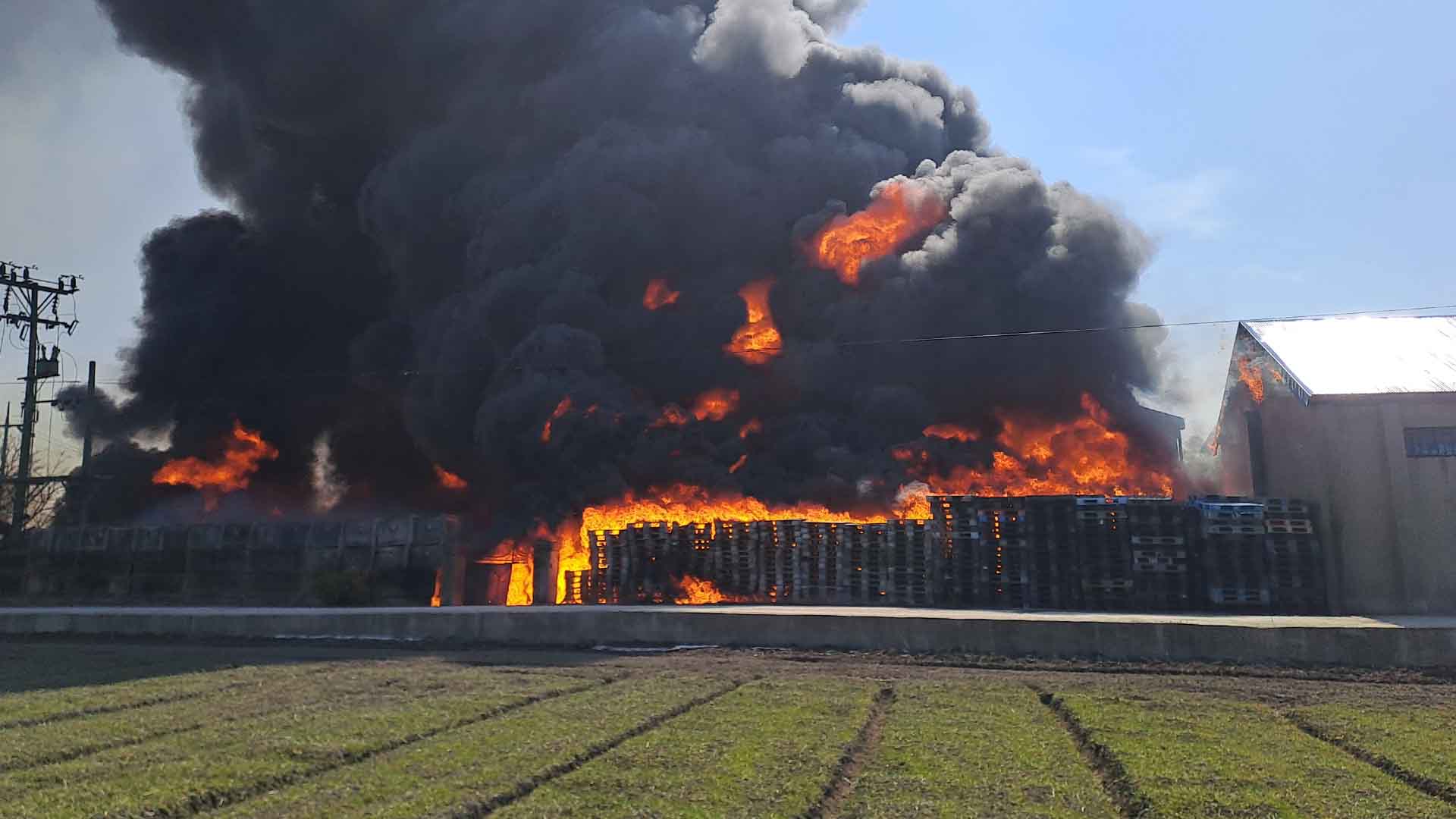 1200톤 쌀 폐기 위기.. 팔레트 야적장 큰 불 6시간 만에 진압