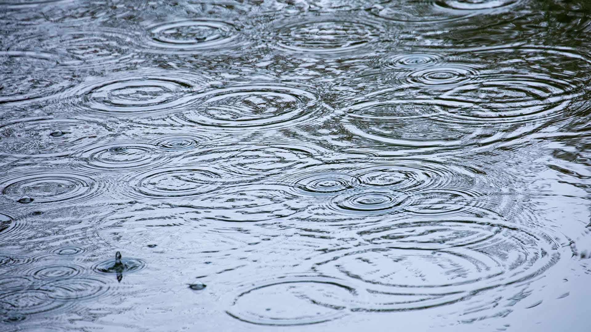 종일 흐리고 기온 뚝.. 비나 눈도 예상