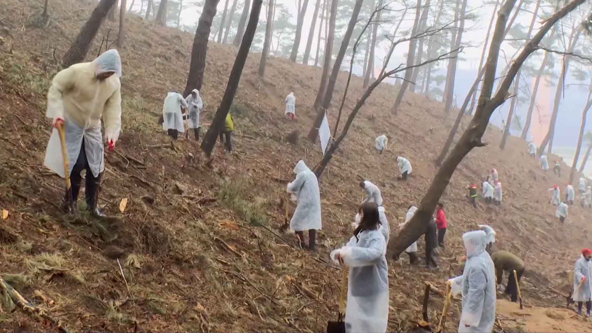 전북자치도, 올해 450만여 그루 조림사업 추진