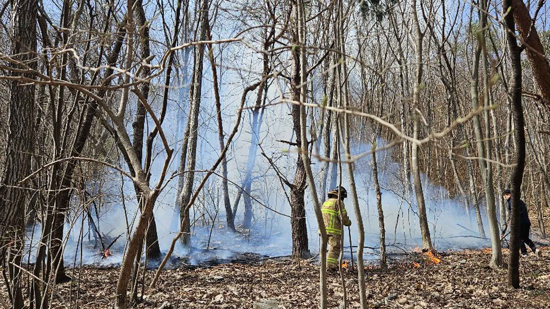순창·완주 야산 화재 잇따라.. 인명 피해 없어