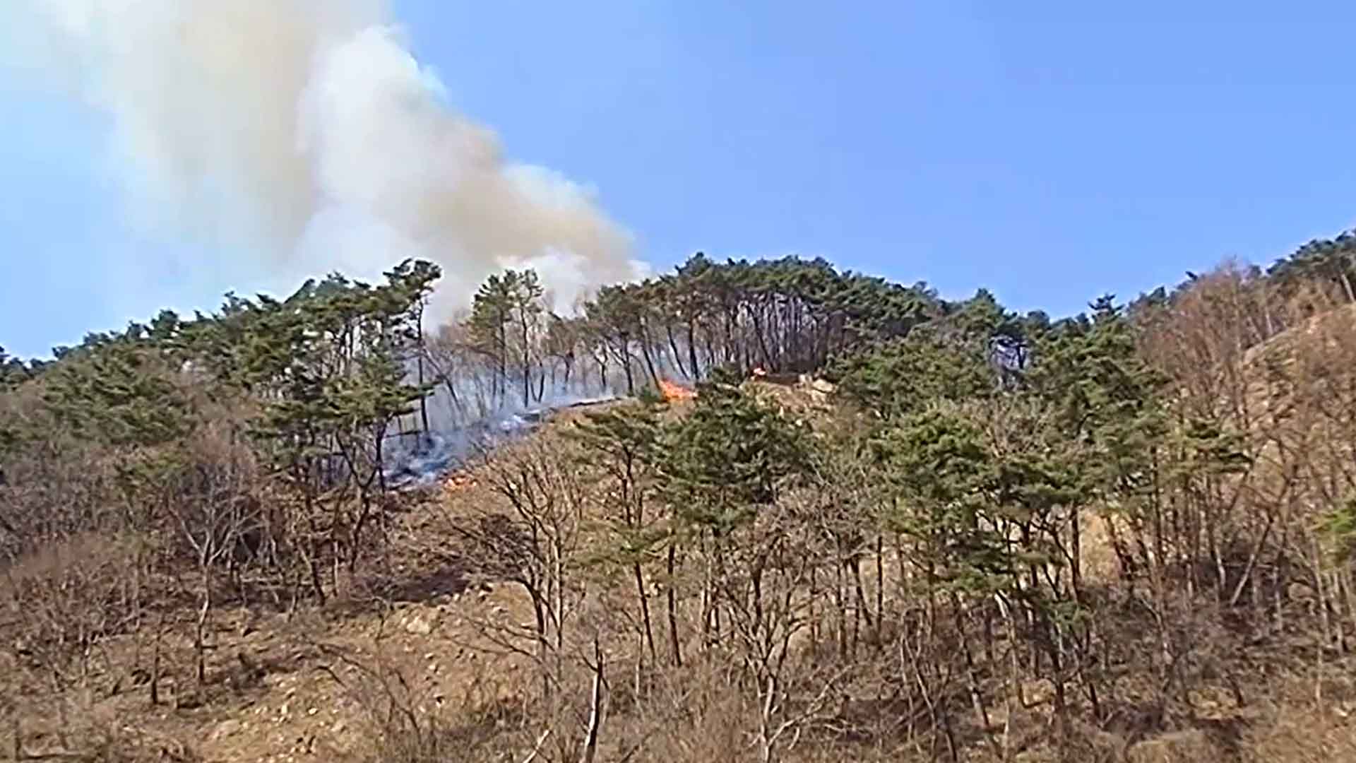 순창 쌍치면 야산 화재.. 소방당국 진화 중