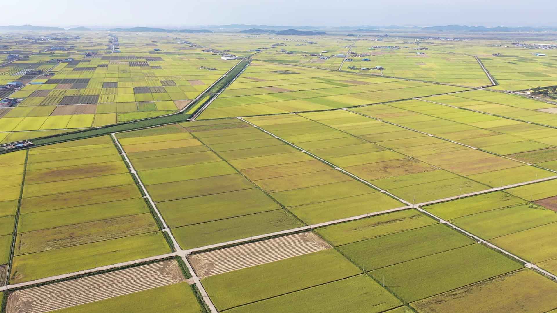 전북자치도 면적 전국 7위, 8,075㎢