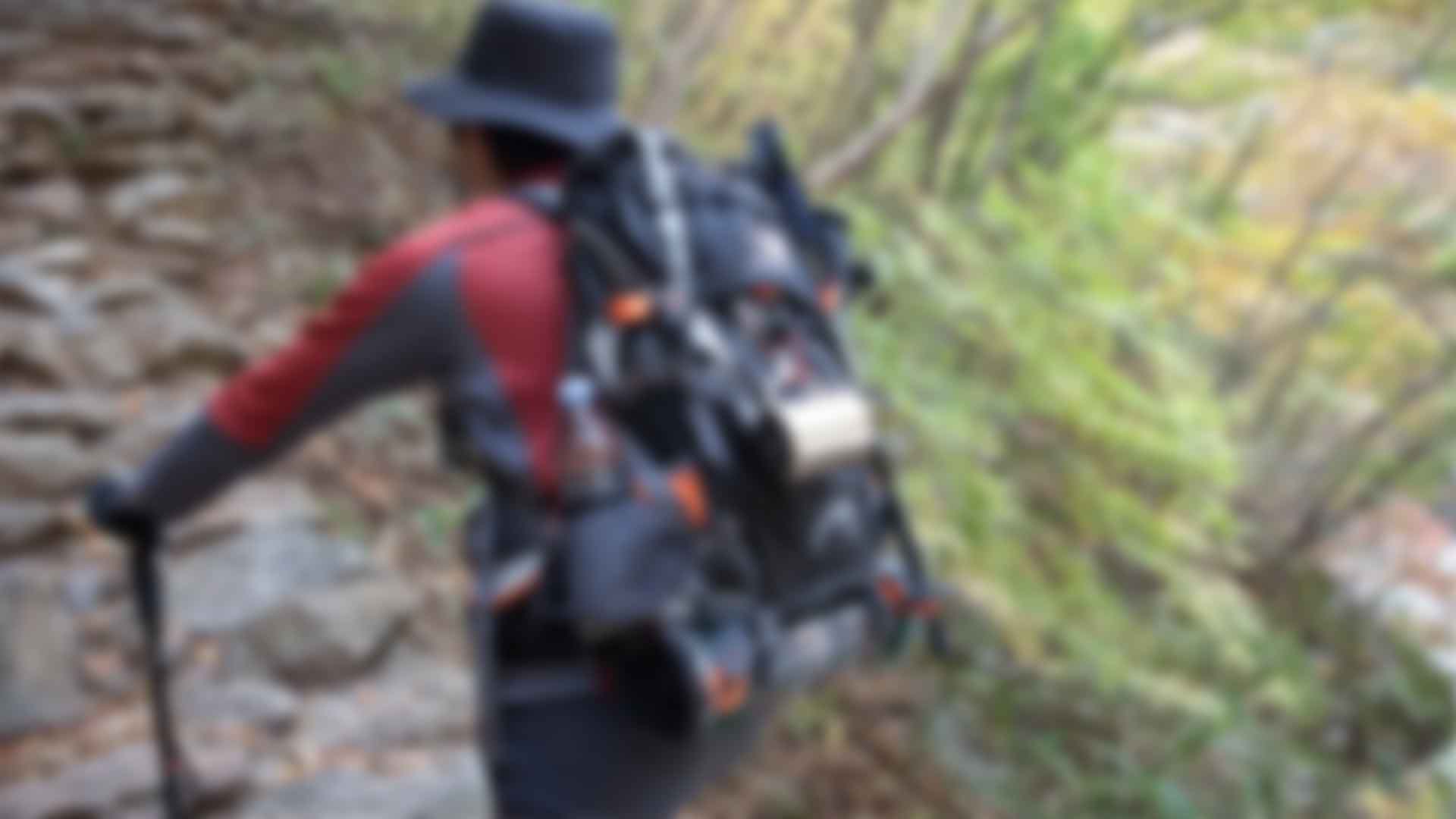 산행 나섰다 실종된 50대 남성 숨진 채 발견