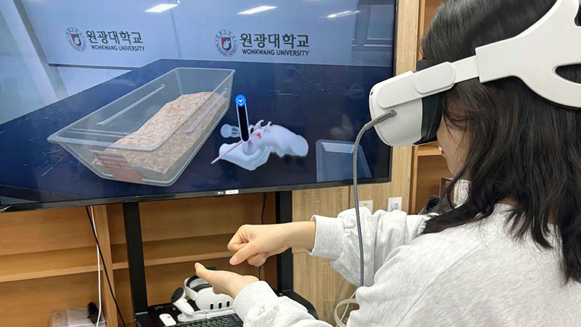 원광대, 동물실험 실습에 VR 도입.. 