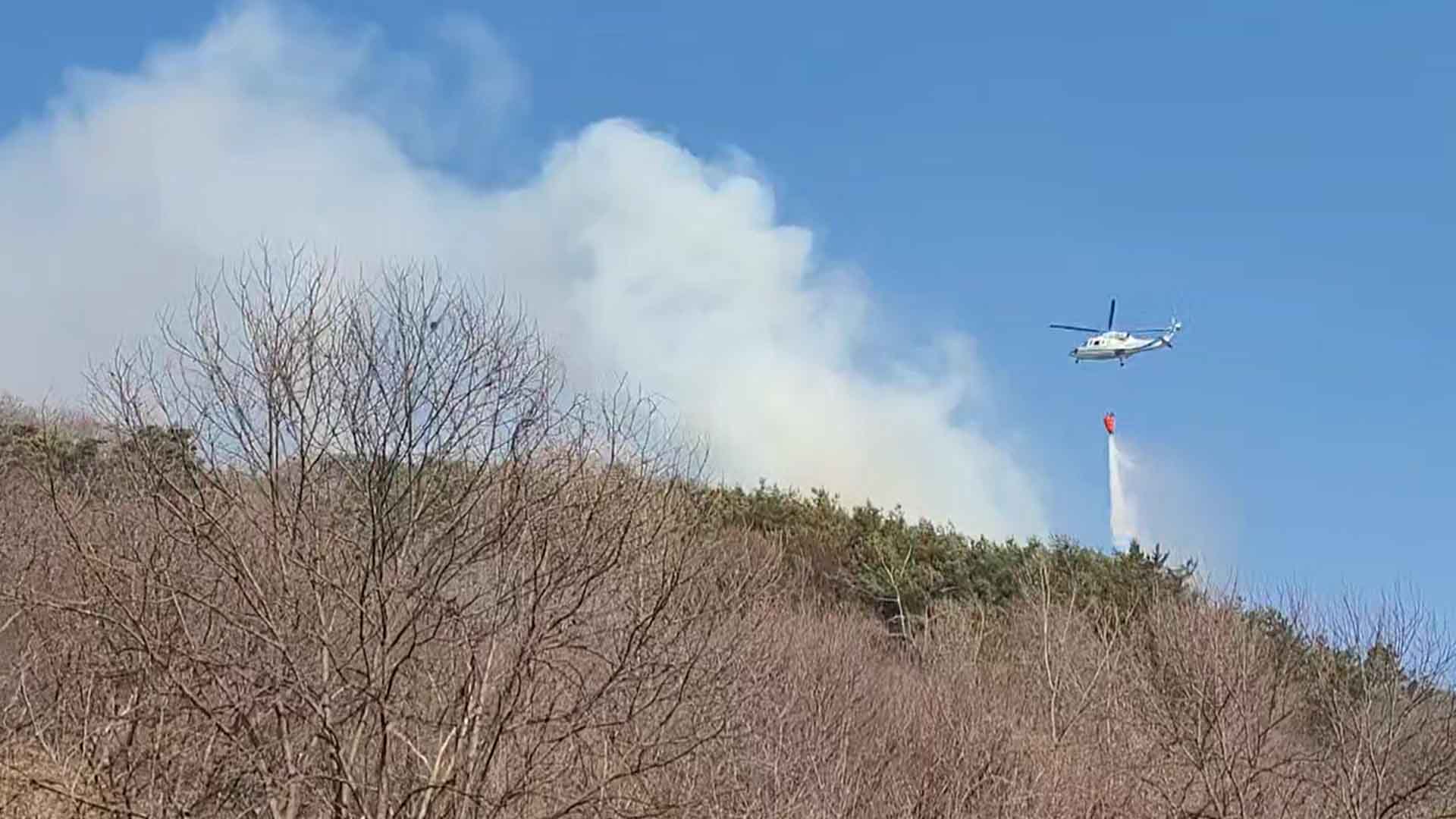 임실 삼계면 야산 화재.. 소방당국 진화 중