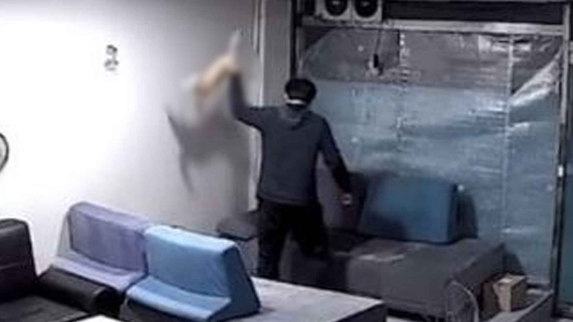 '새끼 고양이' 때리고 물고문.. 30대 男 '법정 구속'