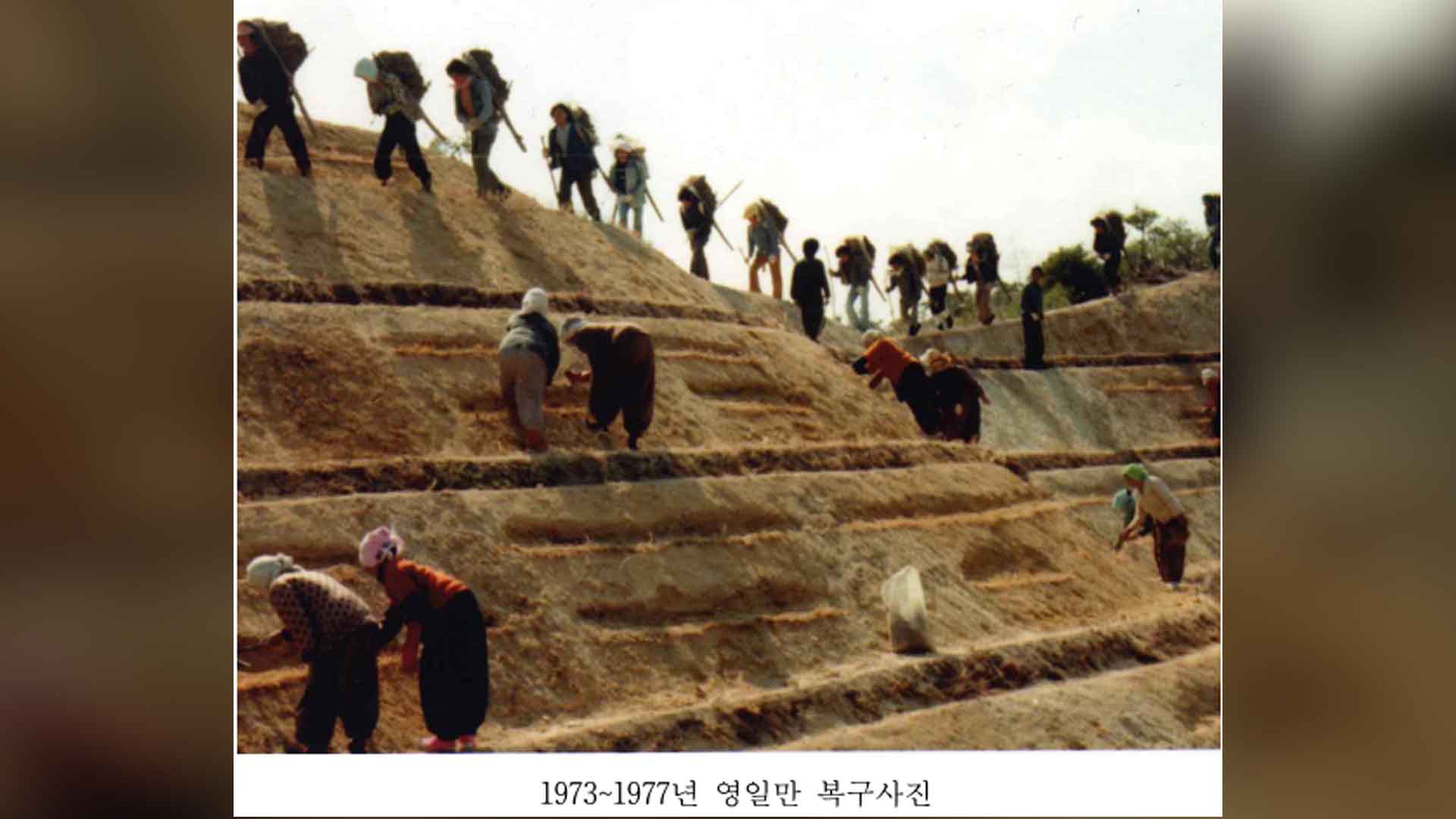 세계기록유산 '산림녹화기록물'.. 이르면 내년 초 '한군데 모인다'