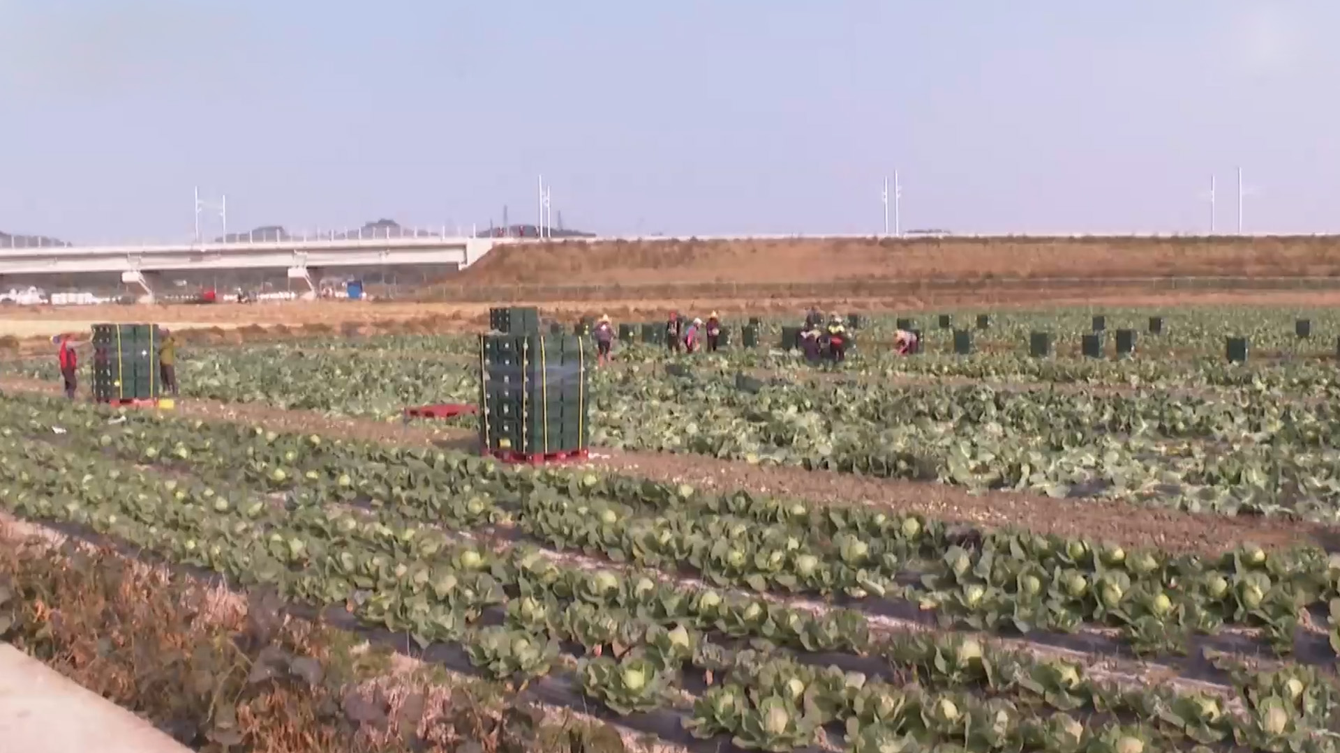 전북 농가소득, 1년 전과 비슷.. 전국 평균보다 낮아