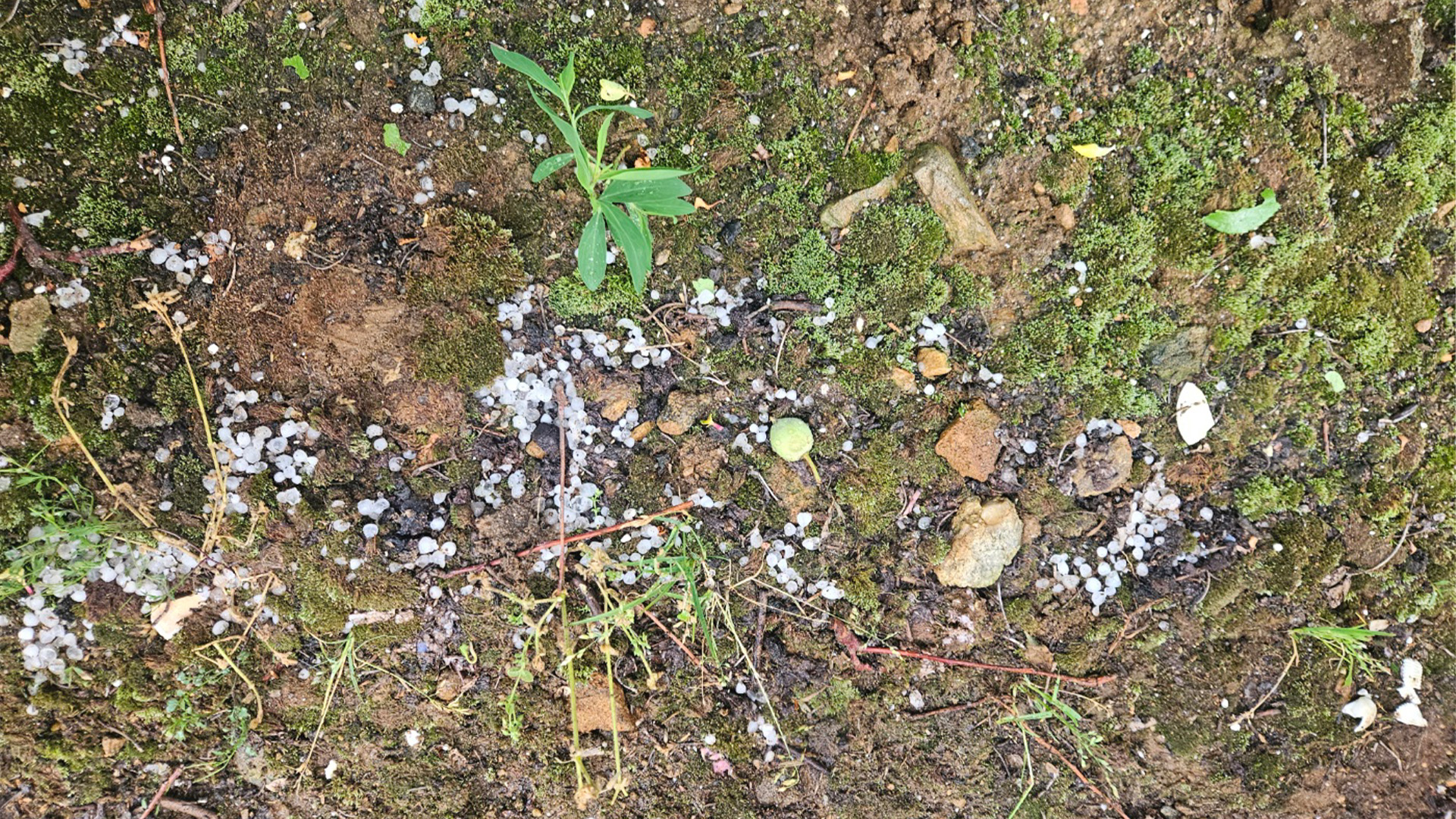 무주·남원에 우박 떨어져.. 대기 불안정 탓