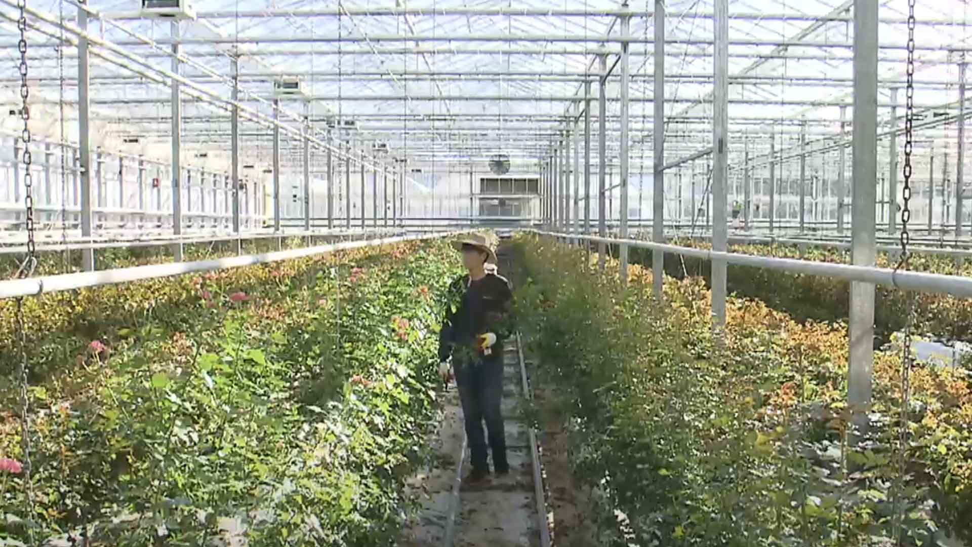 기후위기 속 농업기술 개발과 보급 방안 논의