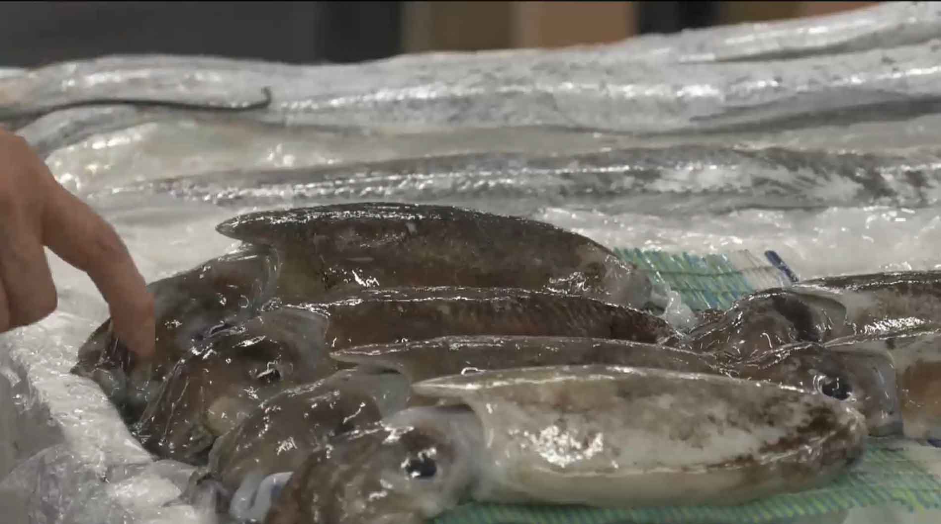 전북 7개 시장, 수산물 구매 시 온누리상품권 환급