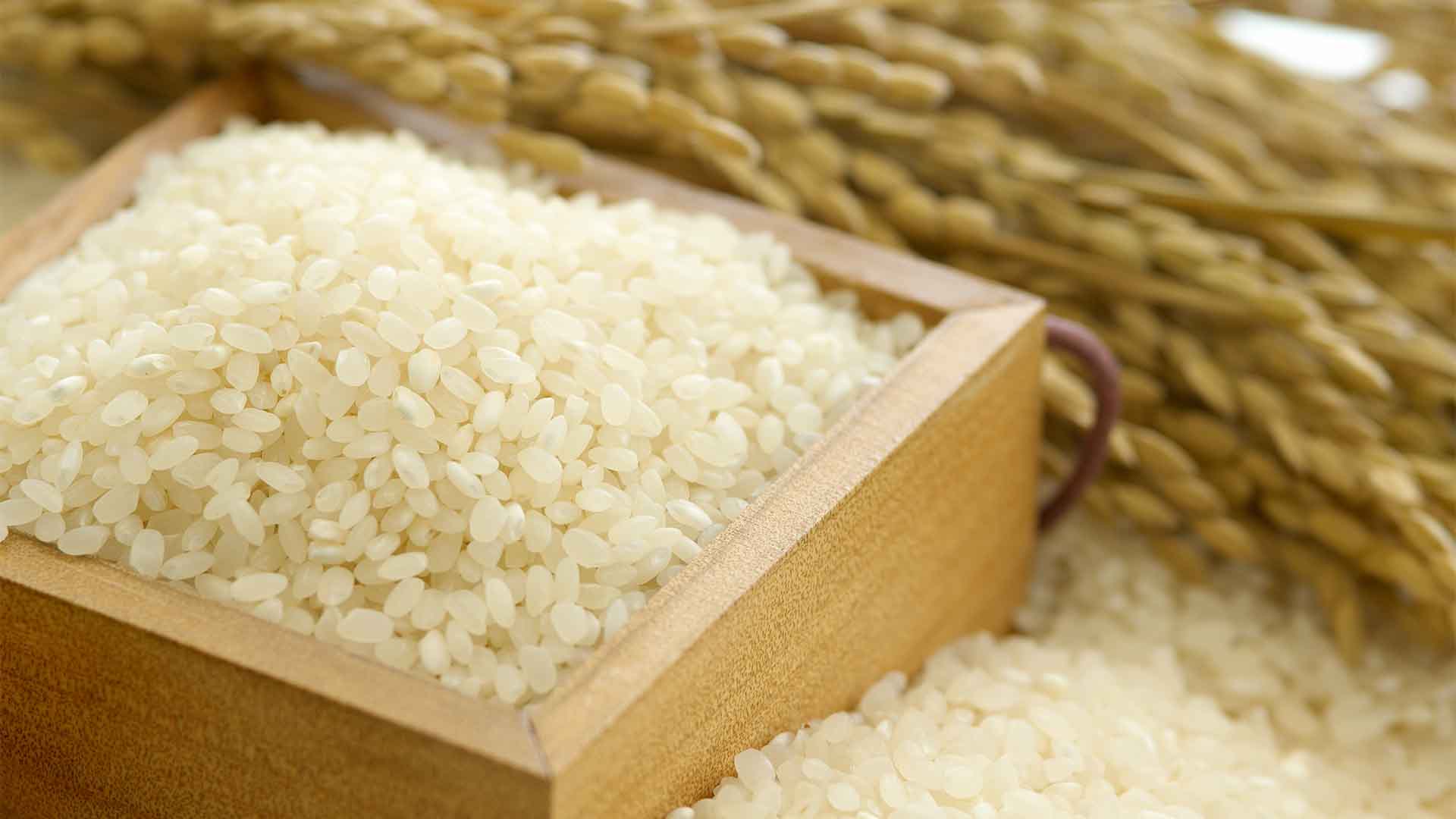 군산시의회 