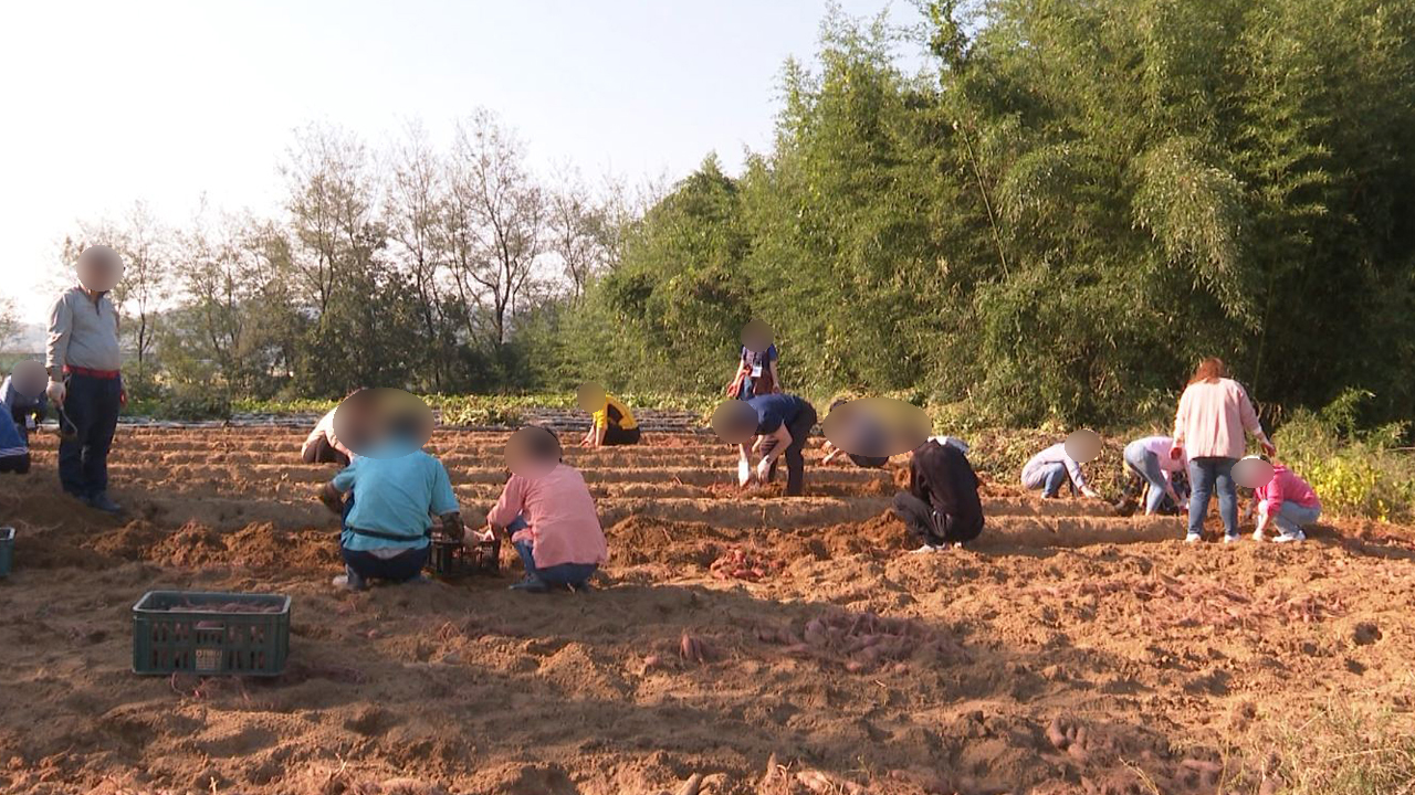 늘어나는 농촌관광객.. 체험·휴양시설 점검나서