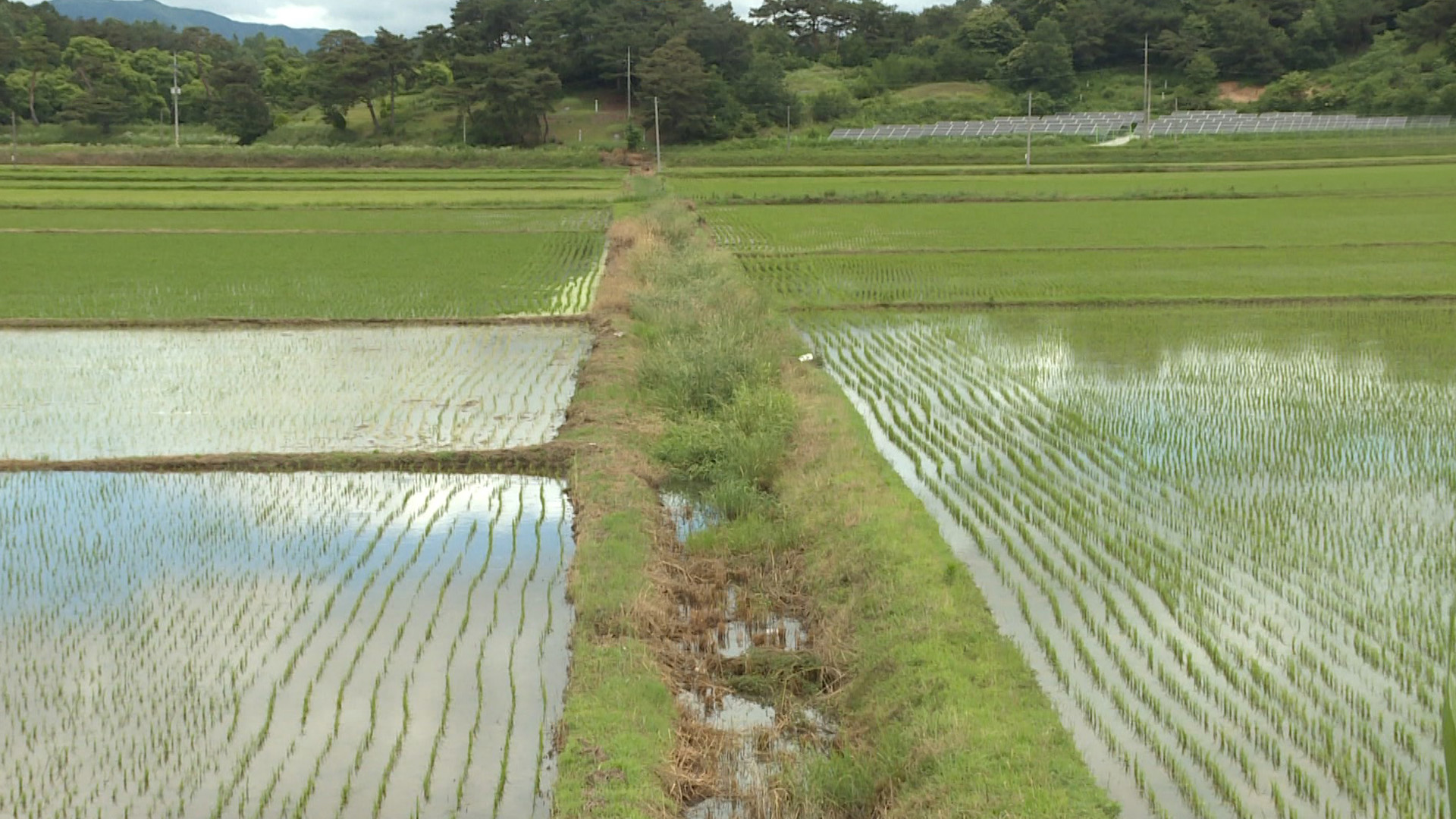 전북도, 농경지 침수 예방 배수개선사업 추진