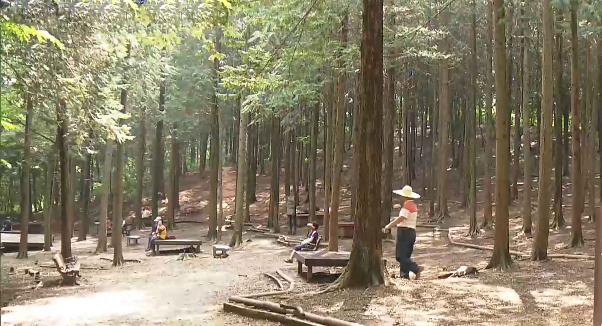 전북 29곳에 '30ha 도시숲'.. 