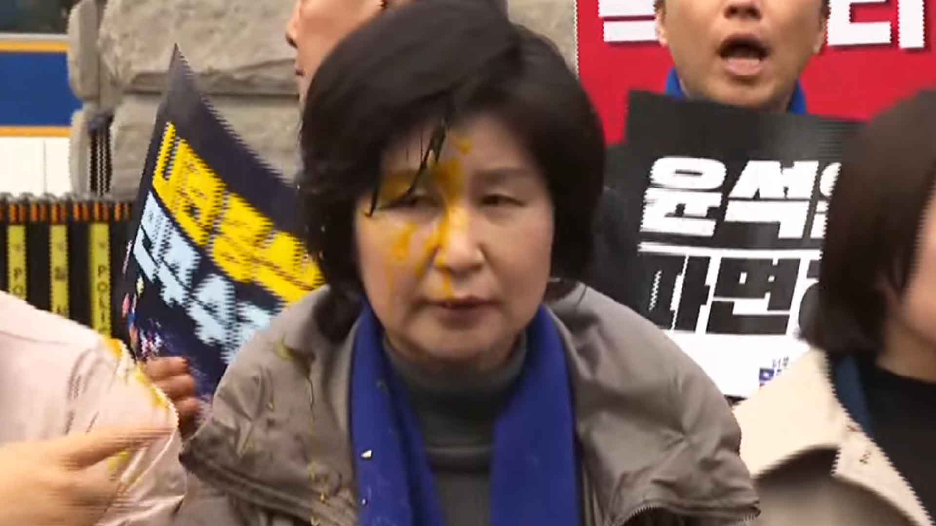 백혜련 의원에 '계란 투척'한 2명.. 불구속 송치