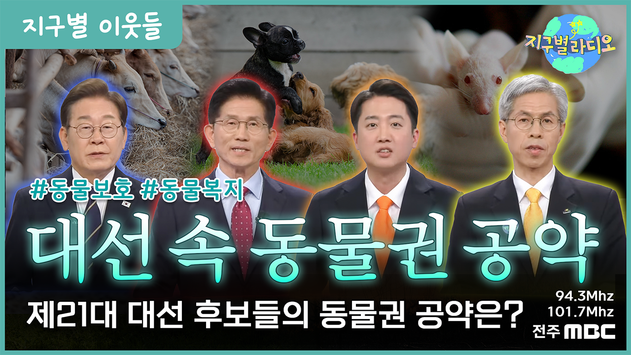 ‘반려동물 의료비 지원’부터 ‘공장식 축산 탈피’까지.. 후보들 ‘동물복지’ 공약은?