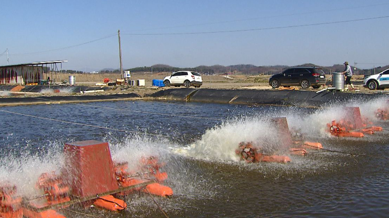전북도, 여름철 양식장 고수온 피해 예방 합동점검