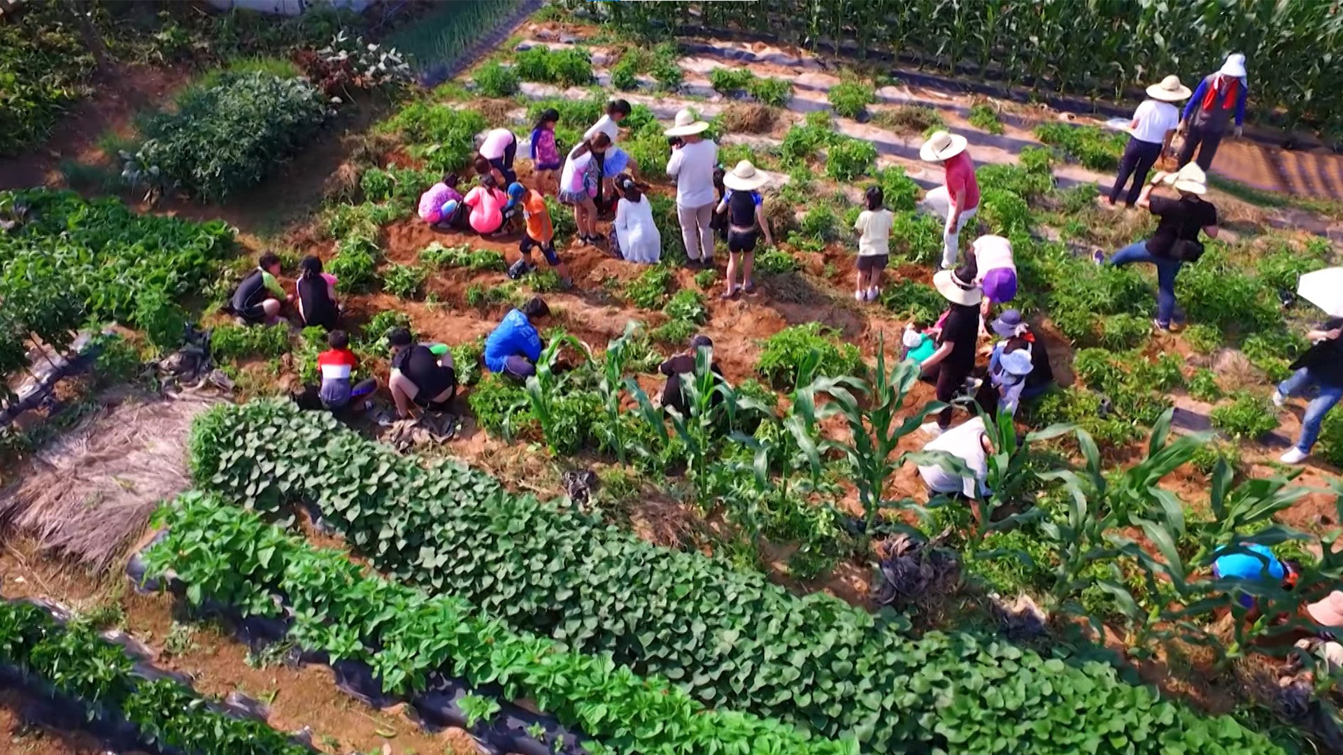 '농촌관광' 참신한 아이디어 찾습니다.