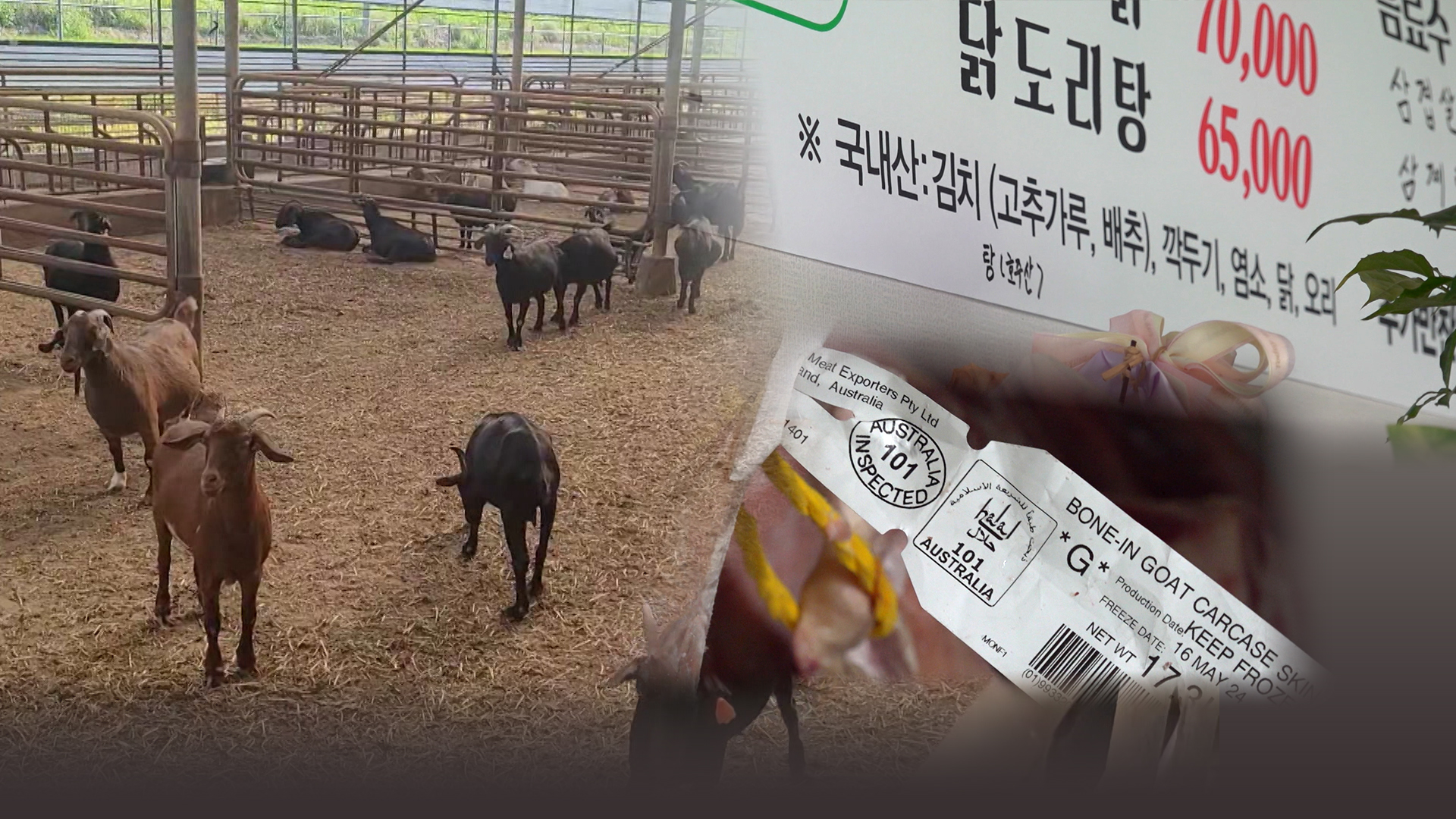 만 원대 저렴한 흑염소탕.. 알고 보니 호주산 염소